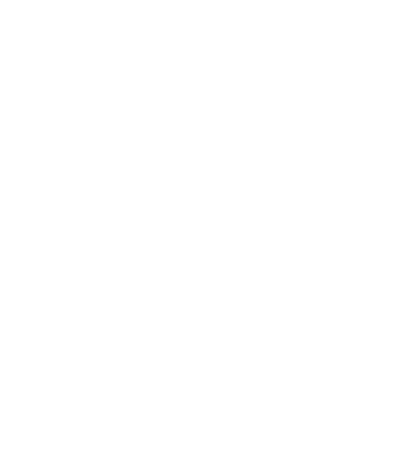 NMaximum Satisfaction